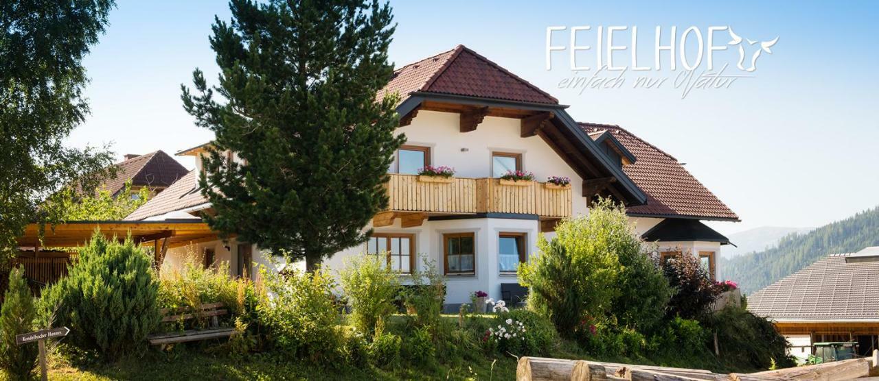 Krakaudorf Feielhof酒店 外观 照片